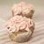 Vanille-Kirsch-Cupcakes mit einer Ganache aus wei�er Schokolade / vanilla cherry cupcakes