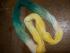 full_mrz2012006.jpg
