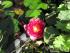 full_img_0691.jpg