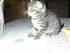 LILLI mit 3 Wochen