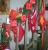 Adventskranz 2010