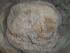 Brot ohne Wei�mehl