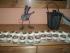 50 T�rtchen