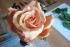 Rose aus Bl&uuml;tenpaste