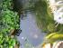 full_51b2e802ddd22_img_1397.jpg
