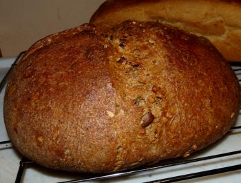 Brot Br&ouml;tchen backen 16 03 22 03 13 4118861579