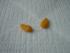 Diese in eine Fl�gelform formen und mit Hilfe eines Zahnstchers drei schr�ge Striche anbringen..