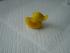 Die Fl�gel anfeuchten und am K�rper anbringen...