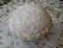 Juliaklaras Bauernbrot    von juliaklara