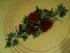 full_img_0755.jpg