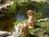 Teich einmal etwas n�her