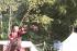 full_img_8161.jpg