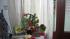full_cimg0795.jpg