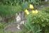 full_img_0747.jpg