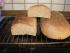 Eibauers Roggenschwarzbierbrot im Anschnitt