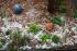 full_518f8b3c0cc82_img_4364.jpg