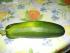 die erste selbstangebaute Zucchini 27cm lang