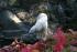 full_img_6803.jpg