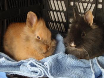 Jeannie und Nelson am 06.06.10