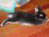 Nelson macht Pause