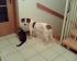Beppi (5 Monate) und Kater Max (7 Jahre)