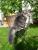 full_200610084.jpg