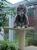 full_20061207ausschnitt2.jpg
