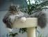 full_200701234.jpg