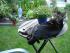 full_dsc00896.jpg