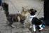full_20070703maxiu.stinker19.jpg