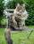 full_dsc01057.jpg