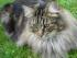 full_dsc01105.jpg