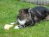 full_dsc01192.jpg