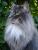 full_dsc08462.jpg