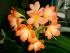 full_pict0019.jpg