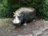 full_bild1124.jpg
