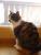 Kessy *R.I.P* 20.03.2013