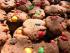 M&M Cookies