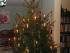 Tannenbaum