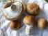 Waldchampignon