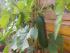 full_dsc00111.jpg