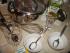full_dsc06186.jpg