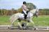full_51b1216d523f8_08.jpg