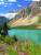Bow Lake mit Wildblumen