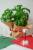full_dsc_0021.jpg