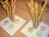 Knabberkram vorweg: Currystangen und Focaccia-Sticks mit kandierten Oliven, dazu Krustentiermayonnaise, Basilikumcreme und Paprika-Aioli