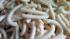 frische Pasta mit meiner KA Pasta Presse