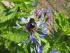 full_img_0086.jpg