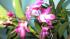 full_img_0133.jpg