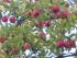 full_img_0097.jpg